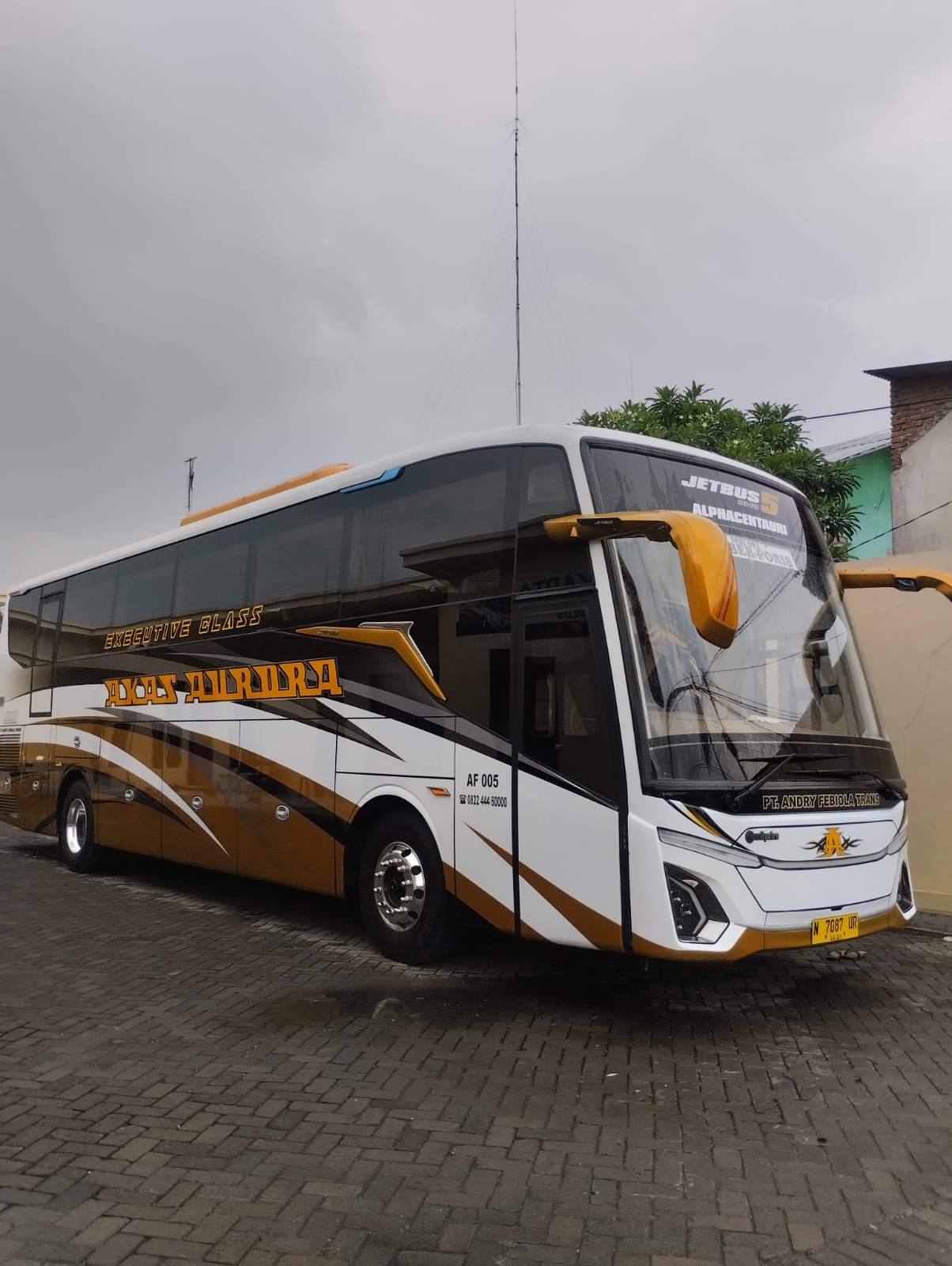 AF 005 / ALPHACENTAURI-HINO-RM8JSLU-QJJ